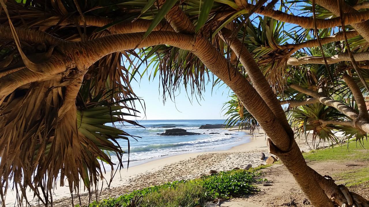 Forest View Bungalow Nambucca Heads Exterior foto